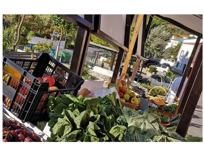 FEIRA SALOIA 2018 – CENTRO SOCIAL E PAROQUIAL DE SÃO SATURNINO DE FANHÕES