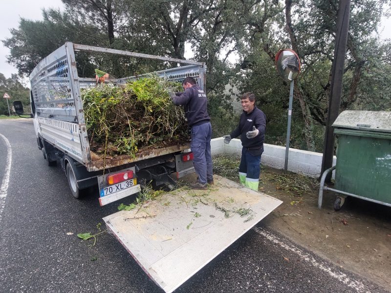 Compostagem – Uma outra forma de reciclar. Sabia que pode reaproveitar os verdes que coloca junto ao contentor!