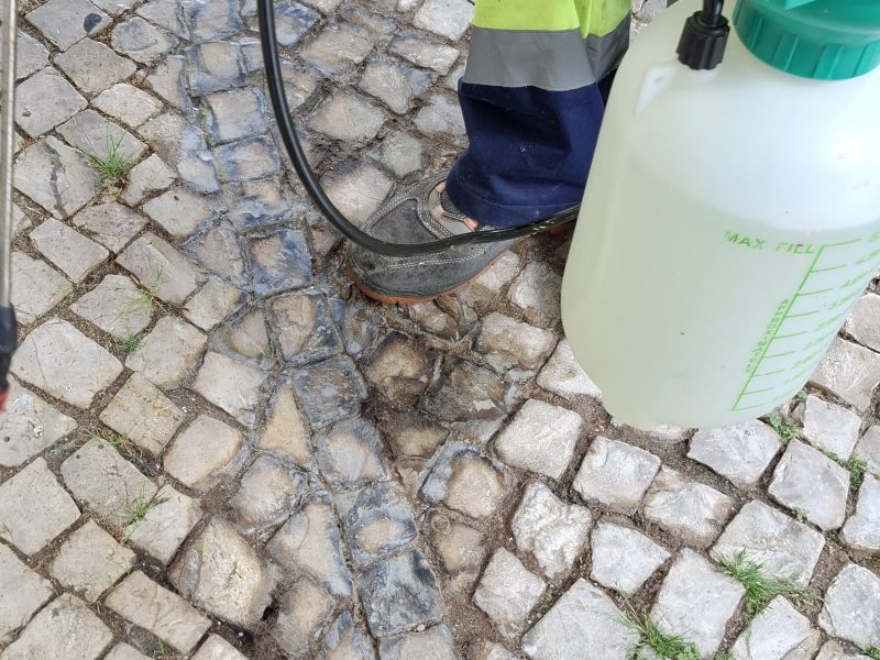 Freguesia de Fanhões – Alerta para o agravamento do cheiro a urina de animais resultante da má lavagem de pátios para a via pública.