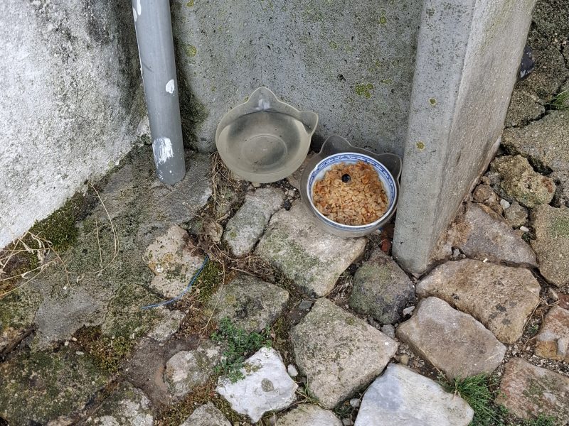 Freguesia de Fanhões – Alerta para o agravamento de pragas devido à colocação de alimento na via pública e lixo fora dos contentores.